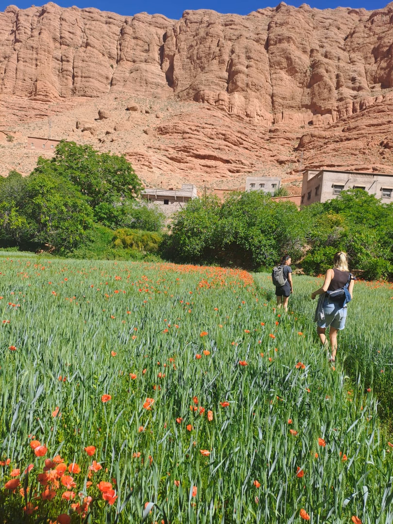 Grand Sud Marocain — photo 2