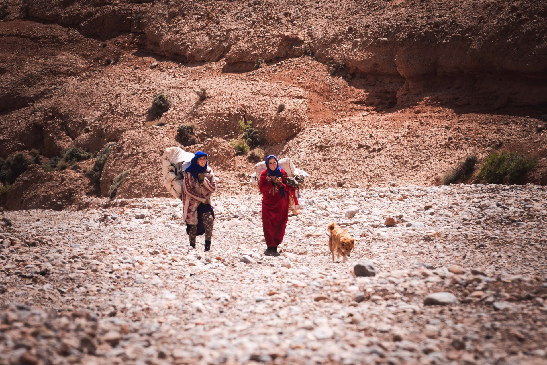 Vallée des Roses & Kasbahs — photo 5