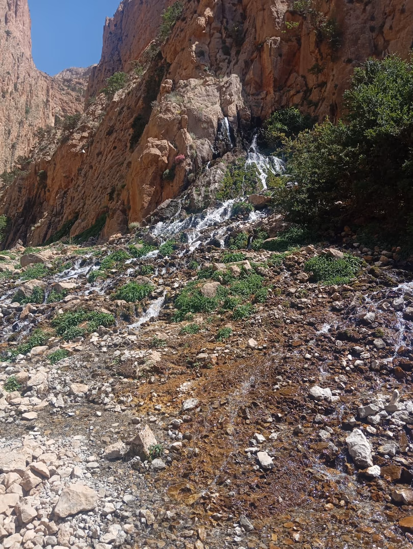 Gorges du M'Goun & Trek Aquatique — photo 1